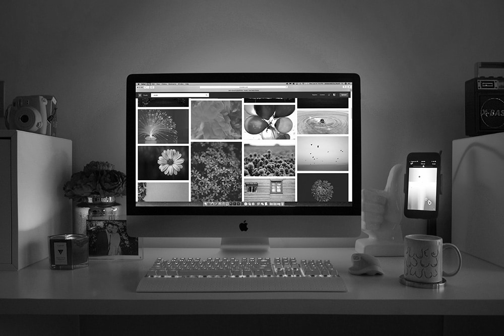 pexels designecologist 1779487 B