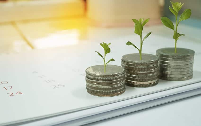 Money Tree