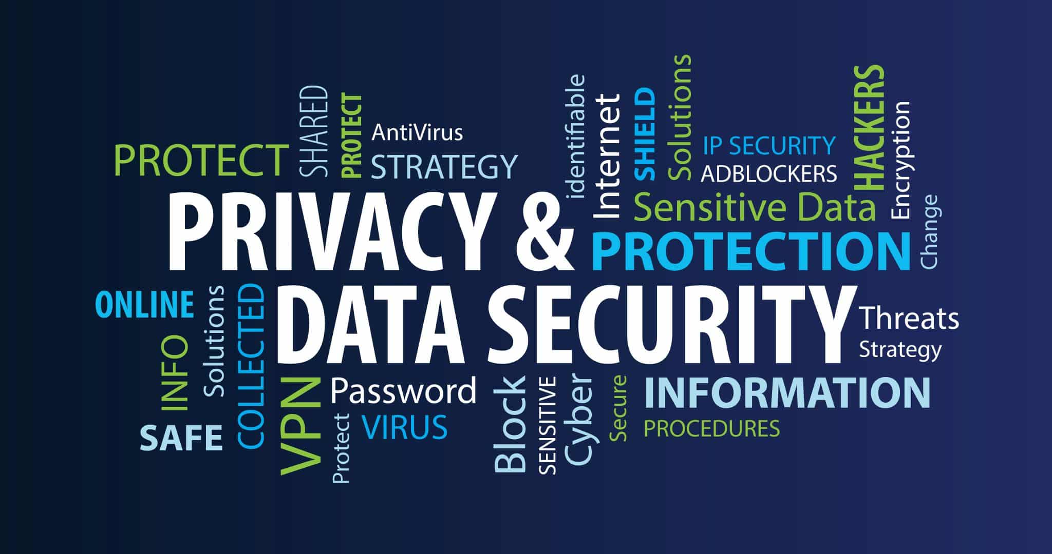 Infographic on Privacy & Data Security including terms adblockers, IP security, cyber, and shared.